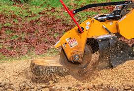 Best Aeration Services  in Montevlo, AL